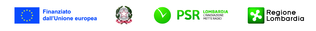 Tavola disegno 16 copia 7@3x-100